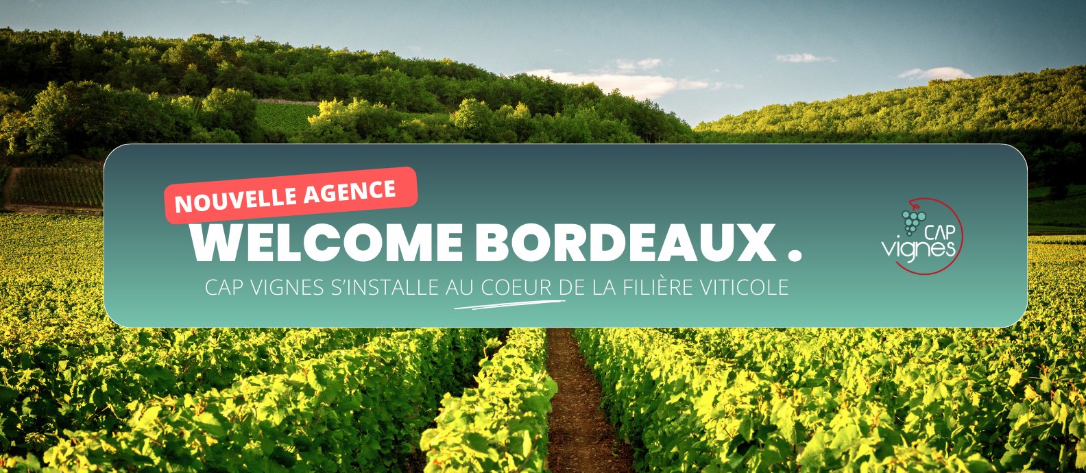 Cap vignes s'installe à Bordeaux