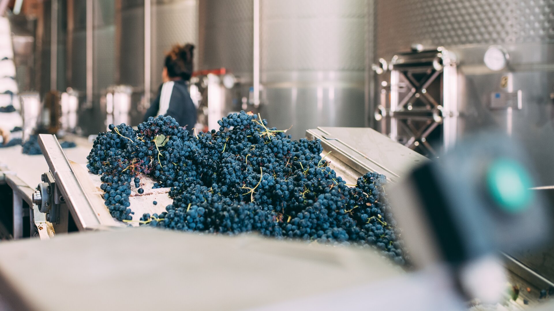 Gestion stock et comptabilité matière - erp vin