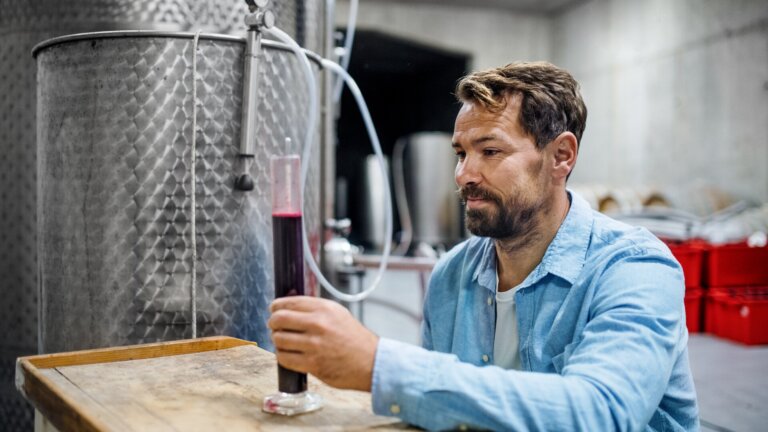 Pilotage de la cuverie et traçabilité œnologique - Suivi des étapes de vinification