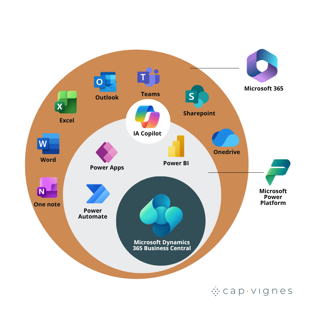 Ecosystème-capvignes-dynamics-365- business-central