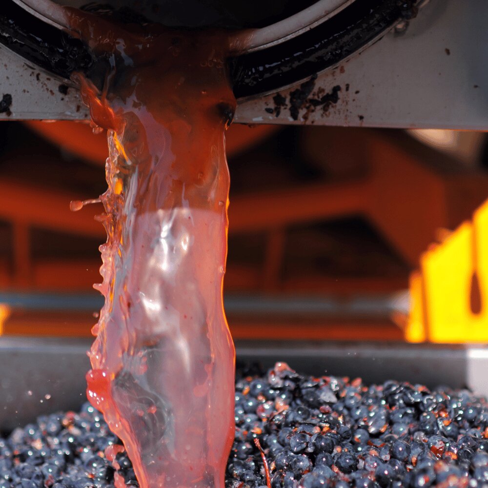 Vinification et process viticoles