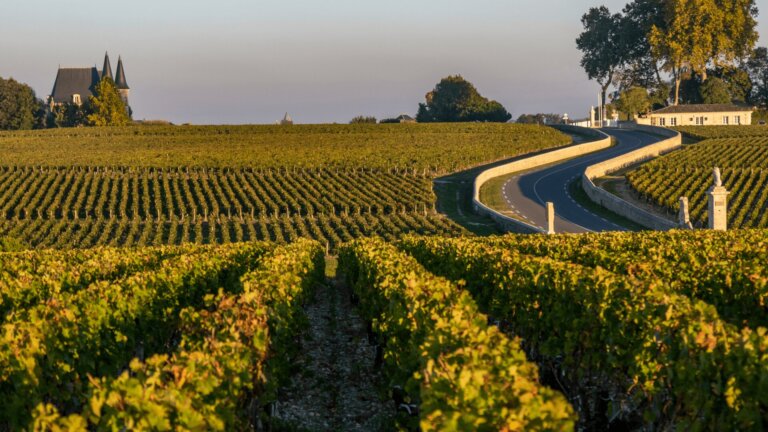 Vignoble Bordeaux Médoc Erp-vins-spiritueux