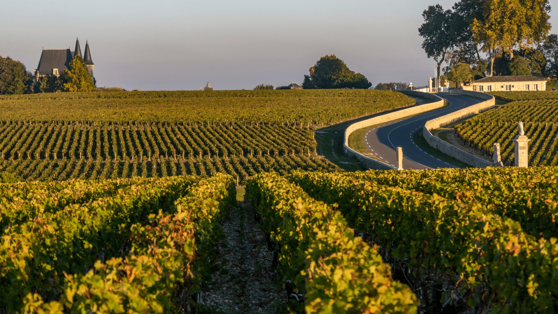 Vignoble Bordeaux Médoc Erp-vins-spiritueux